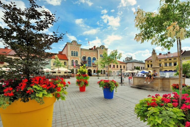10 najlepszych restauracji w Żywcu. Gdzie pysznie zjemy?