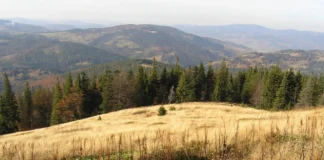 Romanka: Najlepsze szlaki – Mapy i Opisy Tras Romanka