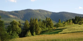 Babia Góra: Najlepsze szlaki – Mapy i Opisy Tras Babia Góra