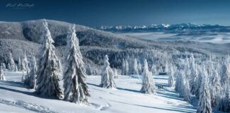 Rysianka i Hala Lipowska: Najlepsze szlaki – Mapy i Opisy Tras Rysianka