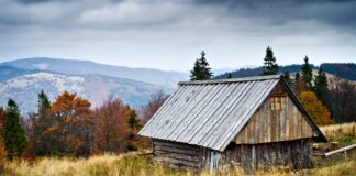 Mędralowa: Najlepsze szlaki – Mapy i Opisy Tras Mędralowa