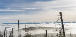 Polica i Hala Krupowa: Najlepsze szlaki – Mapy i Opisy Tras Polica