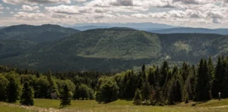 Wielka Rycerzowa: Najlepsze szlaki – Mapy i Opisy Tras Wielka Rycerzowa