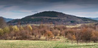 Tajemnicze legendy Góry Grojec – skarby, duchy i miłość ukryta w sercu Beskidów