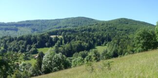 Jałowiec: Najlepsze szlaki – Mapy i Opisy Tras Jałowiec