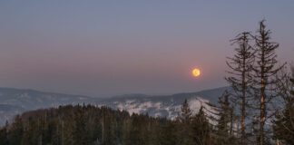 Bendoszka Wielka: Najlepsze szlaki – Mapy i Opisy Tras Bendoszka Wielka