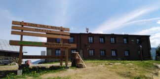 Schronisko na Hali Boraczej: jagodowa legenda, która pachnie górami schronisko pttk na hali boraczej