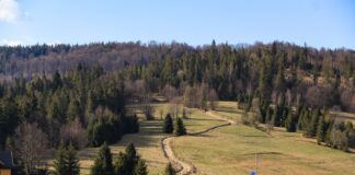 Hala Boracza – Najlepsze szlaki – Mapy i Opisy Tras hala boracza