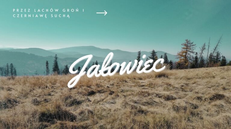 Żółty szlak na Jałowiec z Koszarawy przez Lachów Groń i Czerniawe Suchą