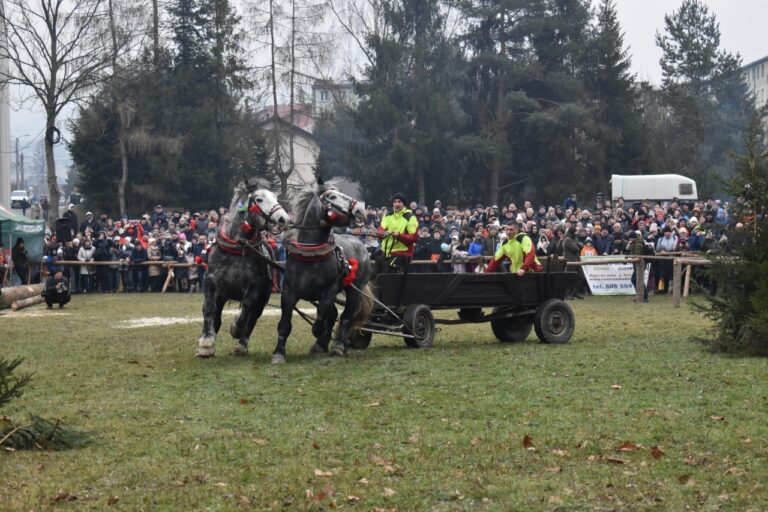 Zawody Furmanów 2026 w Węgierskiej Górce – wielkie święto tradycji, siły i współpracy człowieka z koniem