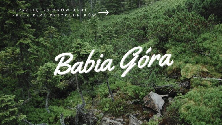Szlak na Babią Górę przez Perć Przyrodników