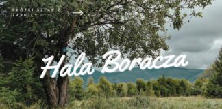 Czarny szlak na Halę Boraczą z Żabnicy Hala Boracza: Szlak z Żabnicy