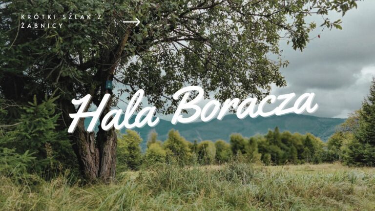 Czarny szlak na Halę Boraczą z Żabnicy