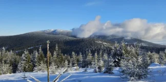 Diablak Pilsko Ultra Trail 100 oficjalnie ogłoszony. Biegacze połączą Pilsko i Babią Górę w jednym starcie pilsko