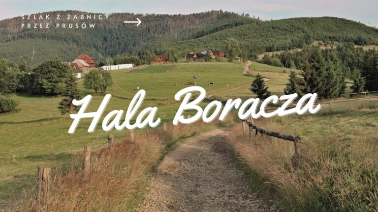 Niebieski szlak na Halę Boraczą z Żabnicy przez Prusów