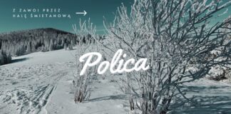 Szlak na Policę z Zawoi przez Halę Śmietanową Zielony szlak na Police z Zawoi przez Halę Śmietanową