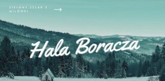 Najkrótszy szlak na Halę Boraczą z Milówki Hala Boracza: krótki szlak z Milówki