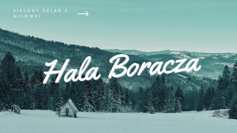 Najkrótszy szlak na Halę Boraczą z Milówki