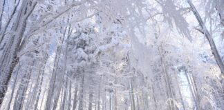 Romanka – tajemniczy masyw, który pamięta więcej, niż pokazuje romanka