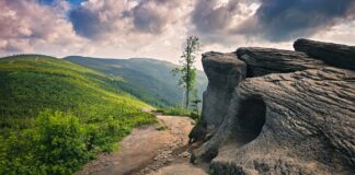 Malinowska Skała: Najlepsze szlaki – Mapy i Opisy Tras malinowska skała