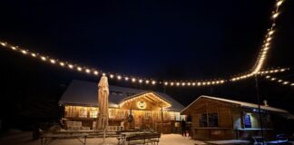 Schronisko na Dębowcu: legendy, widoki i przystanek, który kradnie cały dzień schronisko na dębowcu