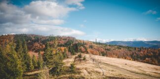 Błatnia: Najlepsze szlaki – Mapy i Opisy Tras błatnia