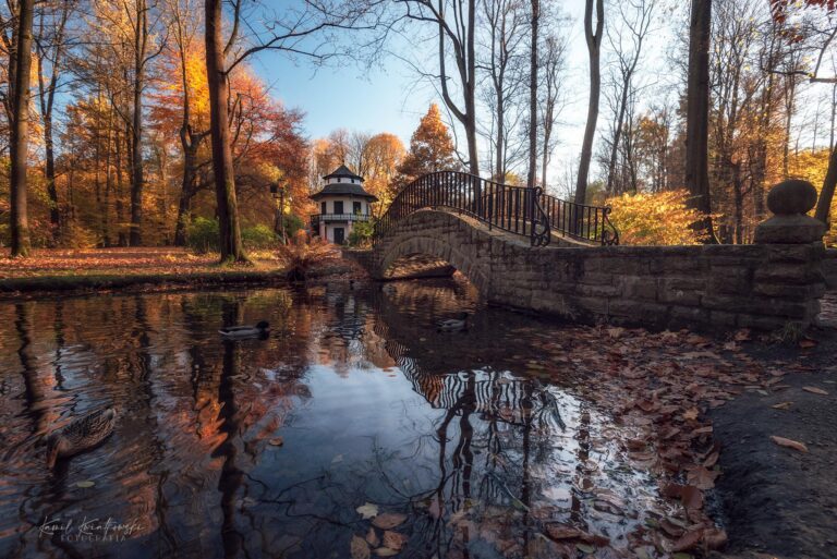 park zamkowy w żywcu