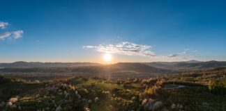 Góra Grojec w Żywcu – Widokowy spacer blisko centrum góra Grojec w Żywcu