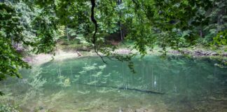 Mokry Stawek – jeziorko, które potrafi zniknąć i znów pojawić się po deszczu mokry stawek babia góra