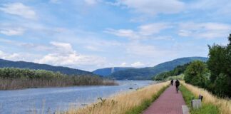 Ścieżka przyrodniczo-dydaktyczna w Żywcu Ścieżka przyrodniczo-dydaktyczna w Żywcu