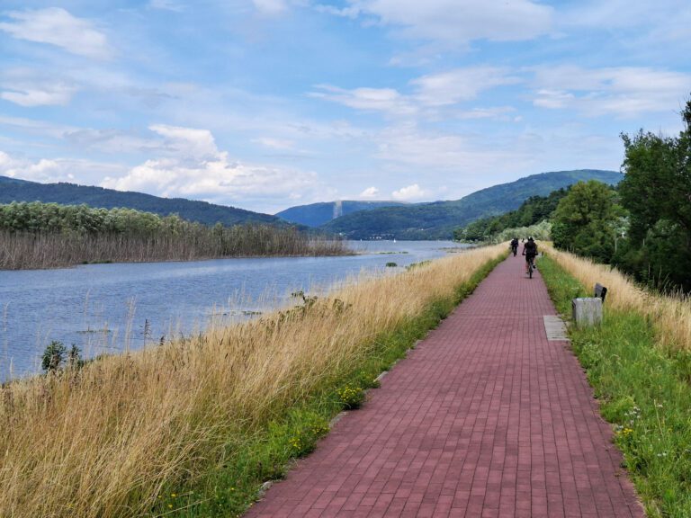 Ścieżka przyrodniczo-dydaktyczna w Żywcu