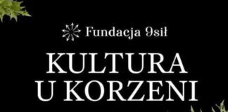 Jeleśnia po zmroku: rzeźby „Ptaszki Beskidzkie” i „Wieczór Legend” Jeleśnia po zmroku: rzeźby „Ptaszki Beskidzkie” i „Wieczór Legend”