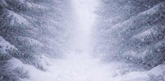 Trudne warunki w Beskidach. Pogoda mocno pogorszy sytuację w górach i na drogach trudne warunki w beskidach