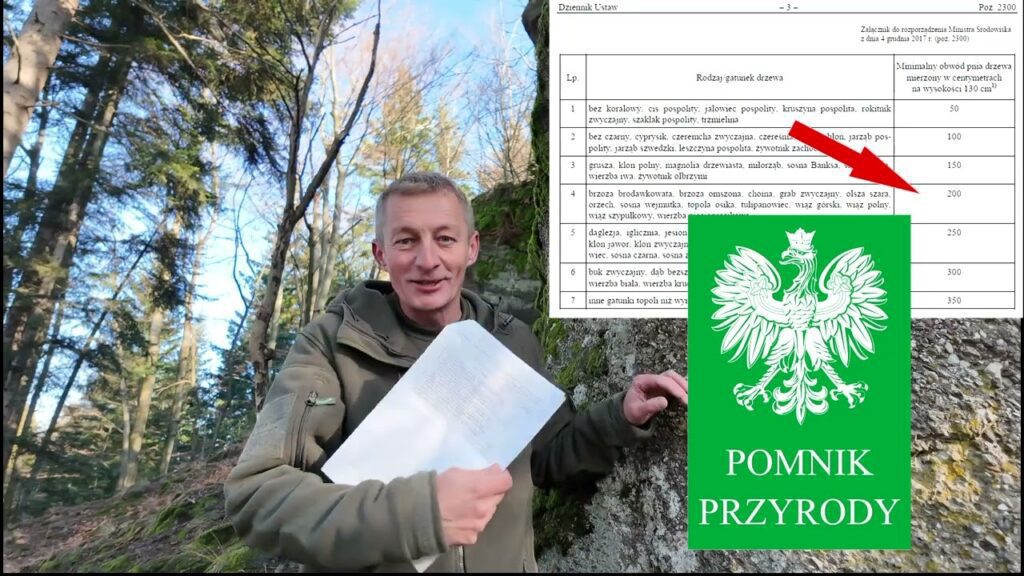 Zbójnickie okno