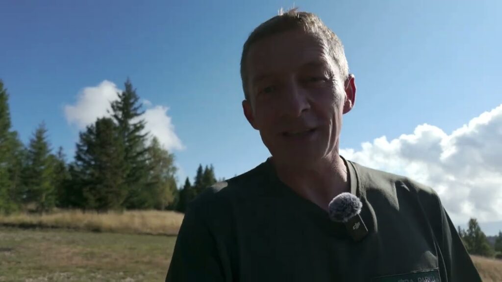 Gdy zanikają górskie hale