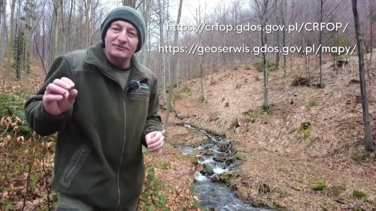 Ochrona przyrody – o co chodzi?