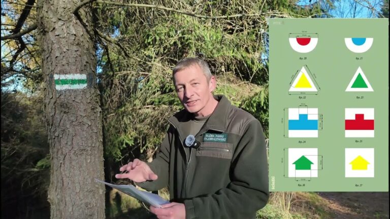 Co oznaczają kolory szlaków?
