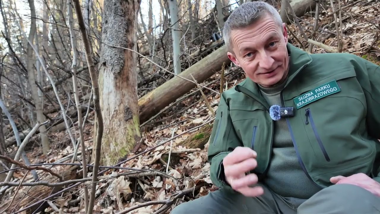 Martwe drewno żyje!!!