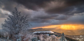 Góra Żar i Kiczera: Najlepsze Szlaki Mapy i Opisy Tras Góra Żar Kiczera