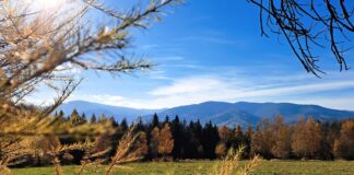 Magurka Wilkowicka: Najlepsze Szlaki Mapy i Opisy Tras Magurka Wilkowicka