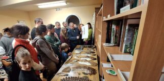 Relacja z VII Nocy Sów w Żywcu