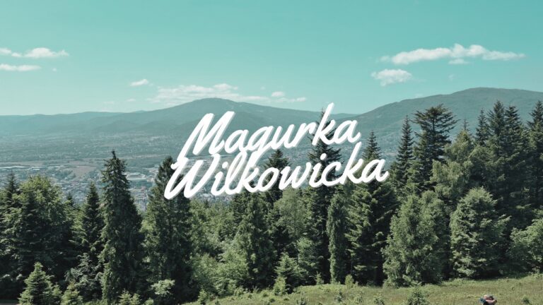 Szlak na Magurkę Wilkowicką z Wilkowic przez Rogacz
