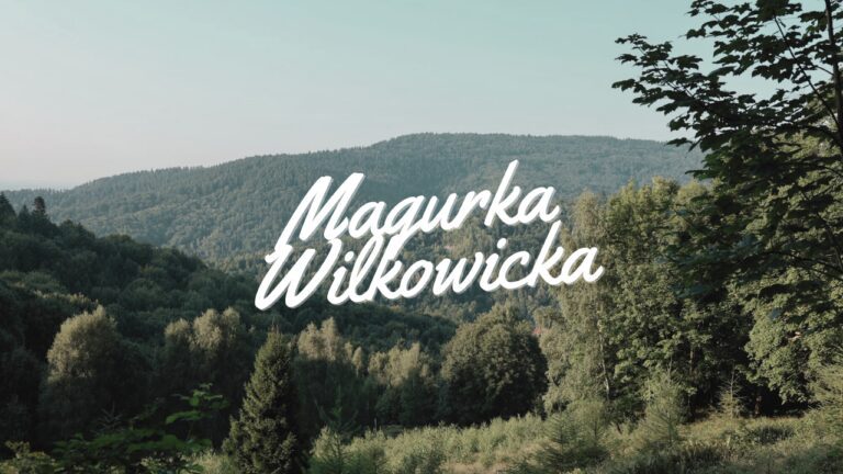 Szlak na Magurkę Wilkowicką ze Straconki