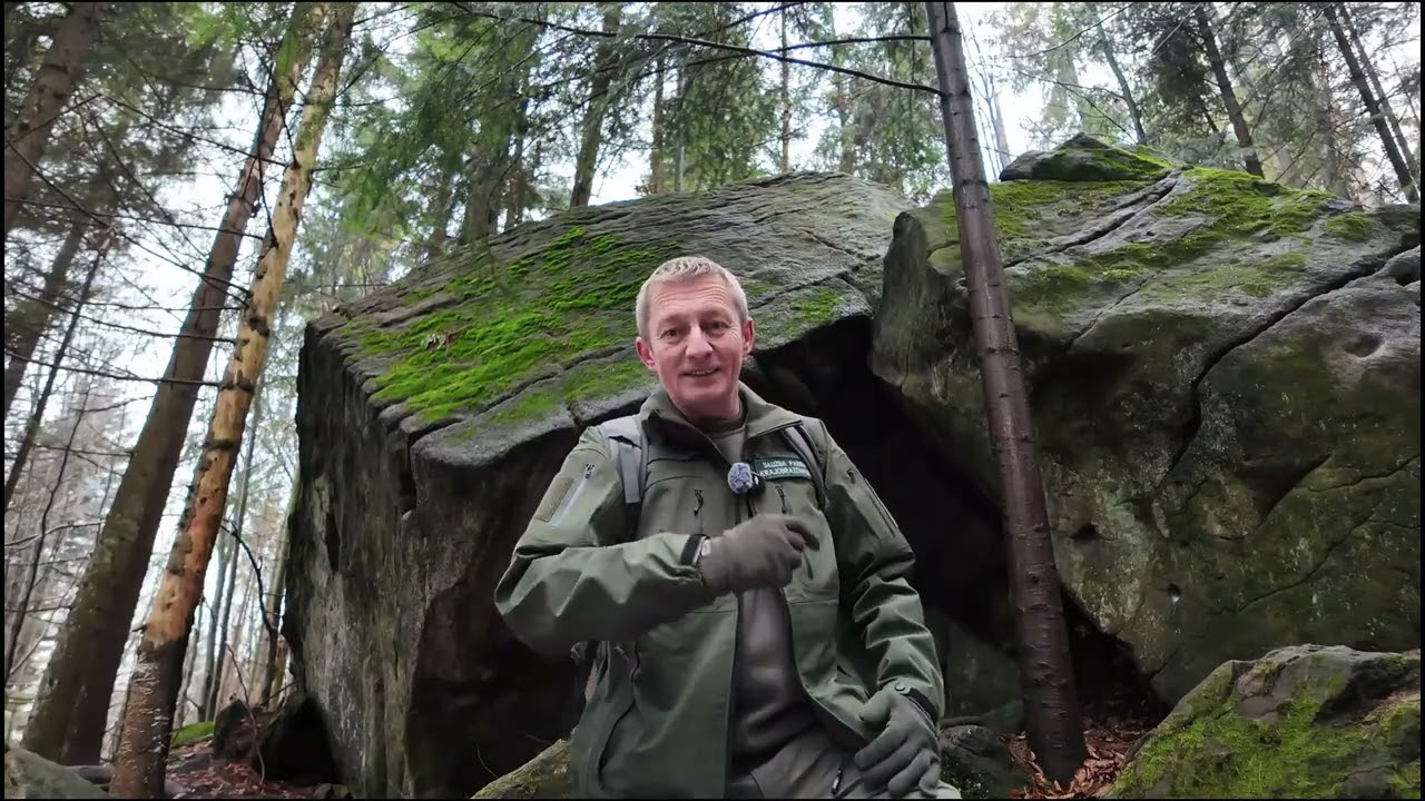 co kryją beskidzkie lasy?