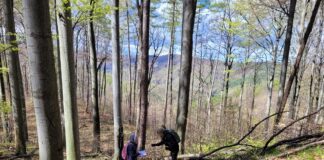 Te lasy mogą zniknąć bezpowrotnie. Mieszkańcy ruszyli w teren, ale sami nie dadzą rady