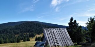 Dawne Beskidy wyglądały zupełnie inaczej. To szałaśnictwo przez lata utrzymywało całe góralskie rodziny szałas na hali cudzichowej