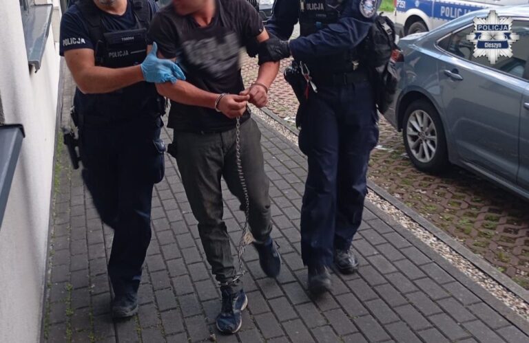 Groźby, kamienie i strzał z wiatrówki. Interwencja w Brennej zakończyła się atakiem na policjantów