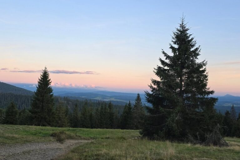 HOLA FESTIWAL na Lipowskiej i Rysiance. Będą pasterskie tradycje, muzyka i noc pod gołym niebem