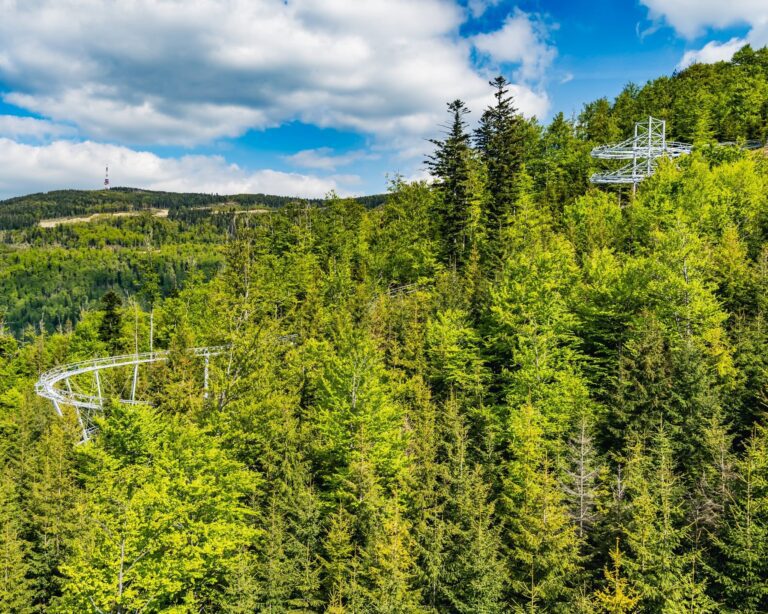 W Beskidach otwierają Salamandra Alpine Coaster. W dniu otwarcia zaplanowano atrakcje od rana do wieczora