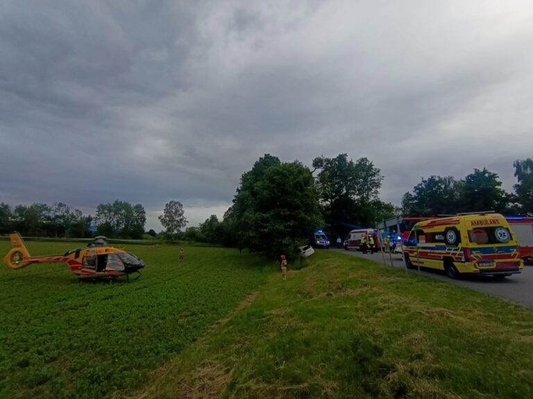 Groźny wypadek w Dankowicach. Auto uderzyło bokiem w drzewo, pięć osób trafiło do szpitali